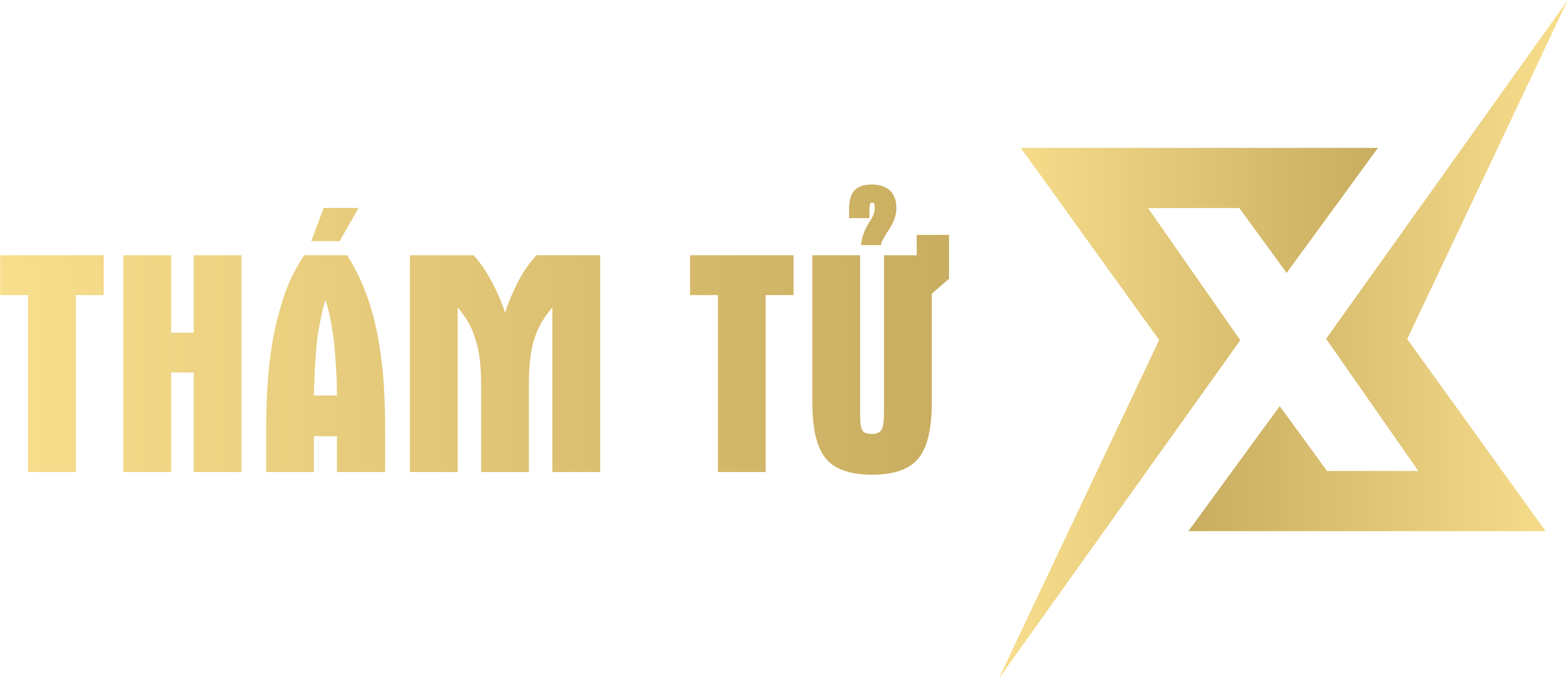 Thám Tử X